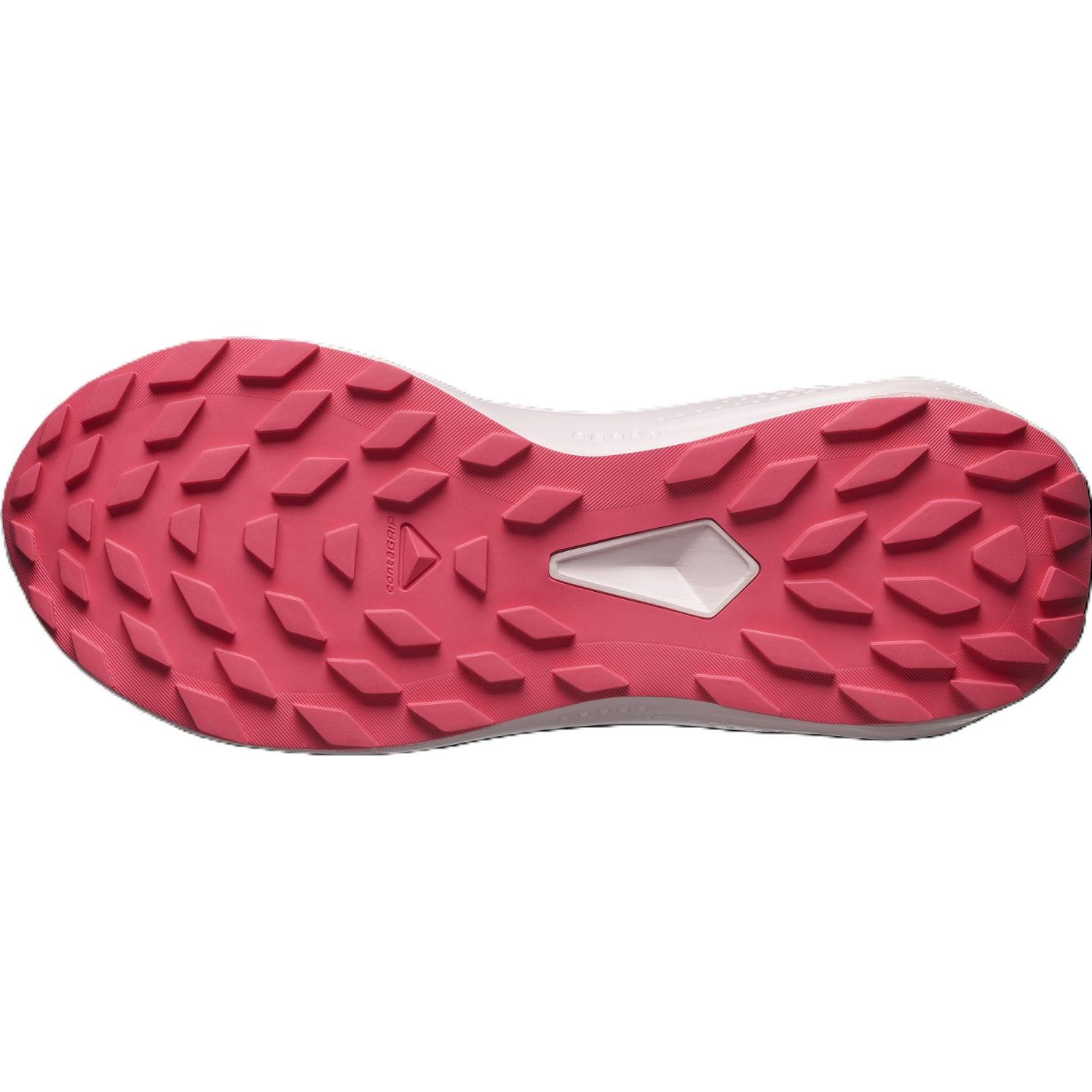 Salomon ALPHAGLIDE GORE-TEX Kadın Ayakkabısı L47802300