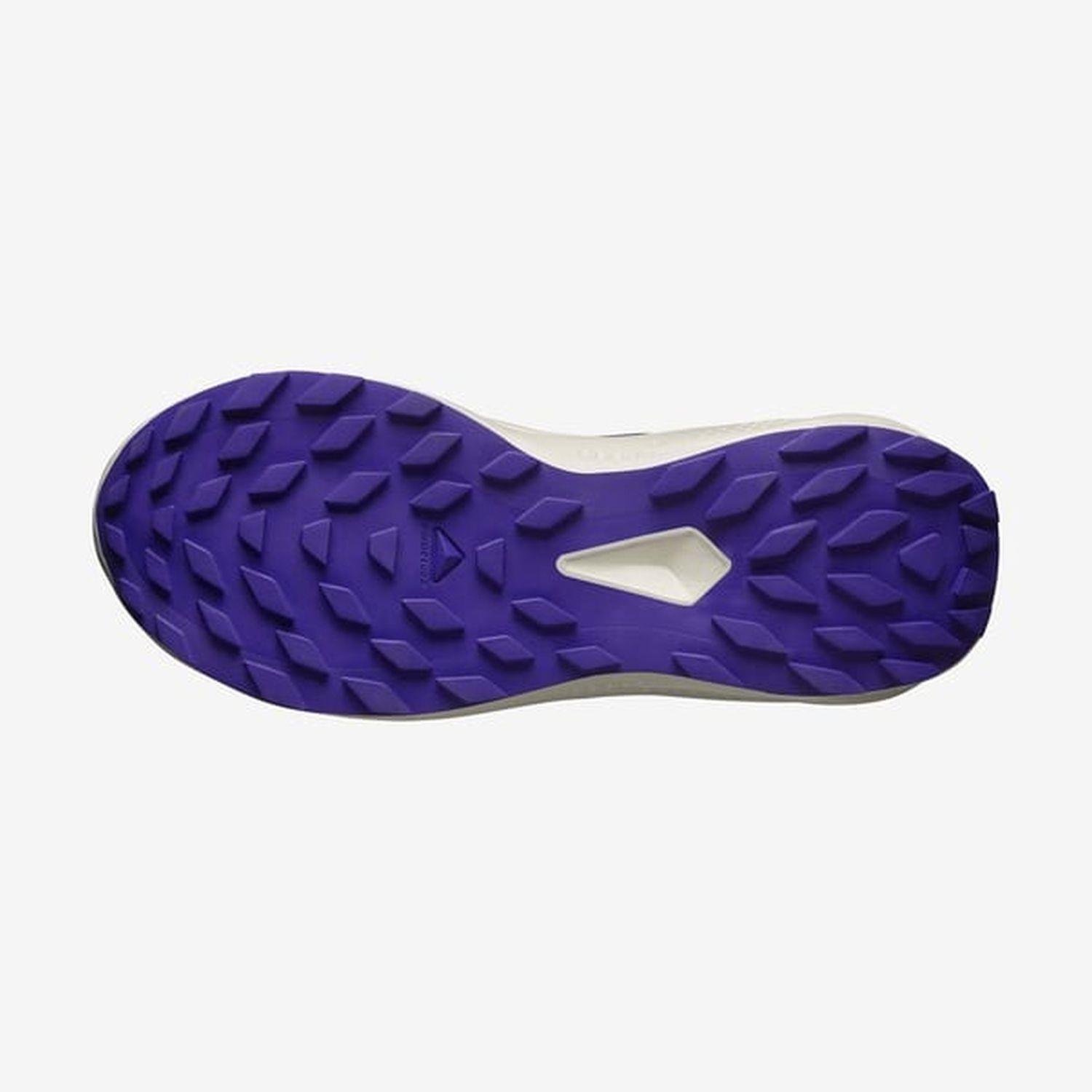 Salomon ALPHAGLIDE W Kadın Ayakkabısı L47801800