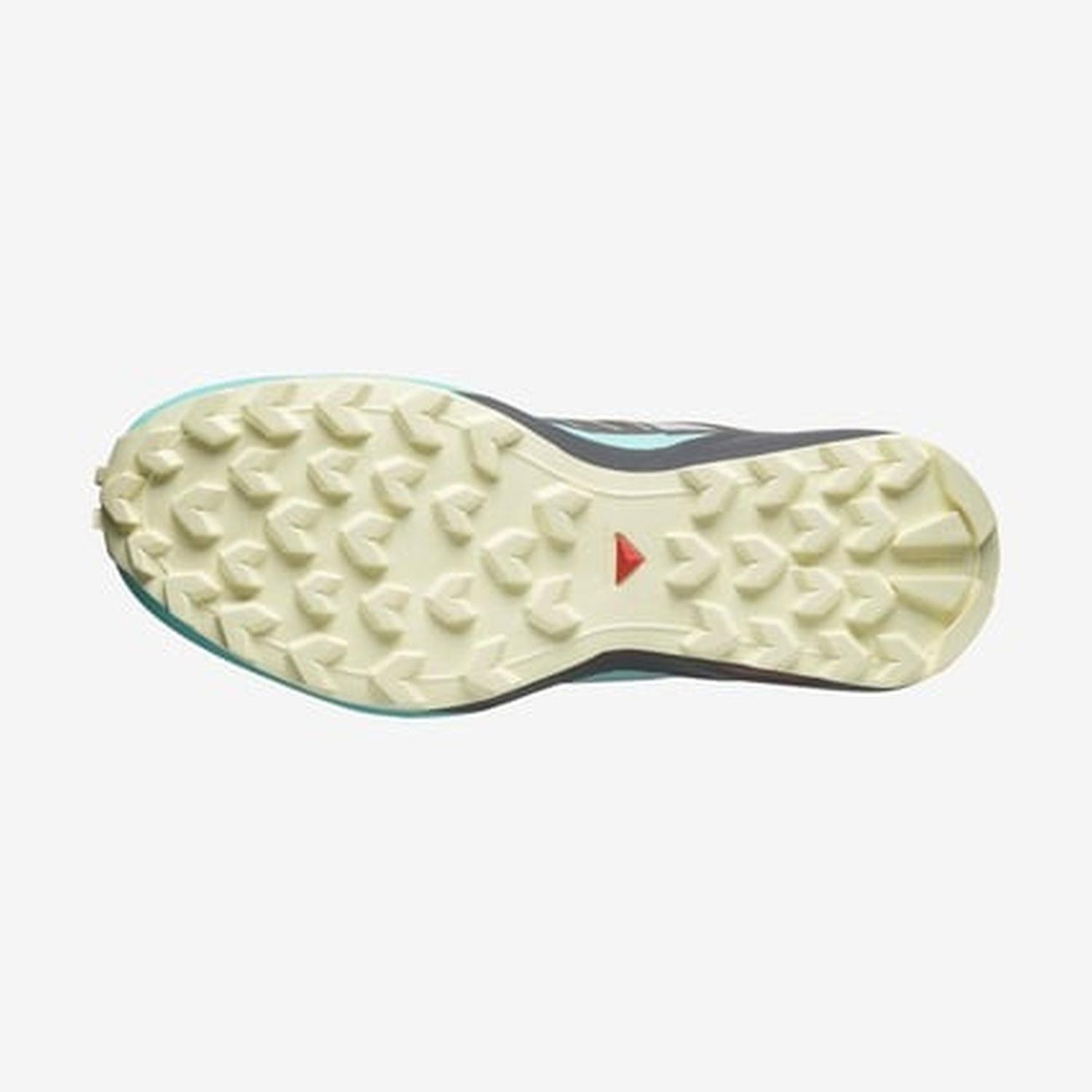 Salomon SPEEDCROSS PEAK W Kadın Koşu Ayakkabısı L47790300