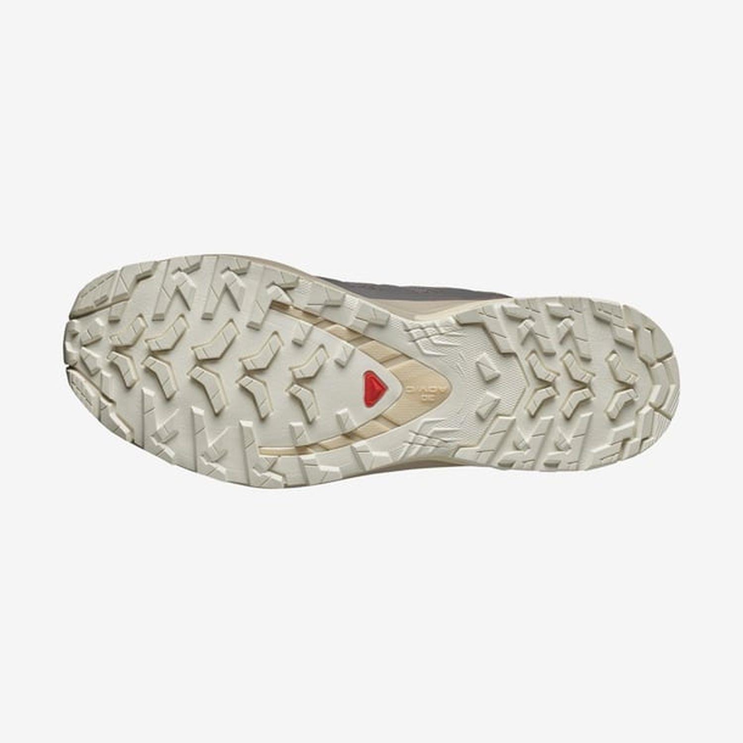 Salomon XA PRO 3D V9 W Kadın Ayakakbısı L47748100