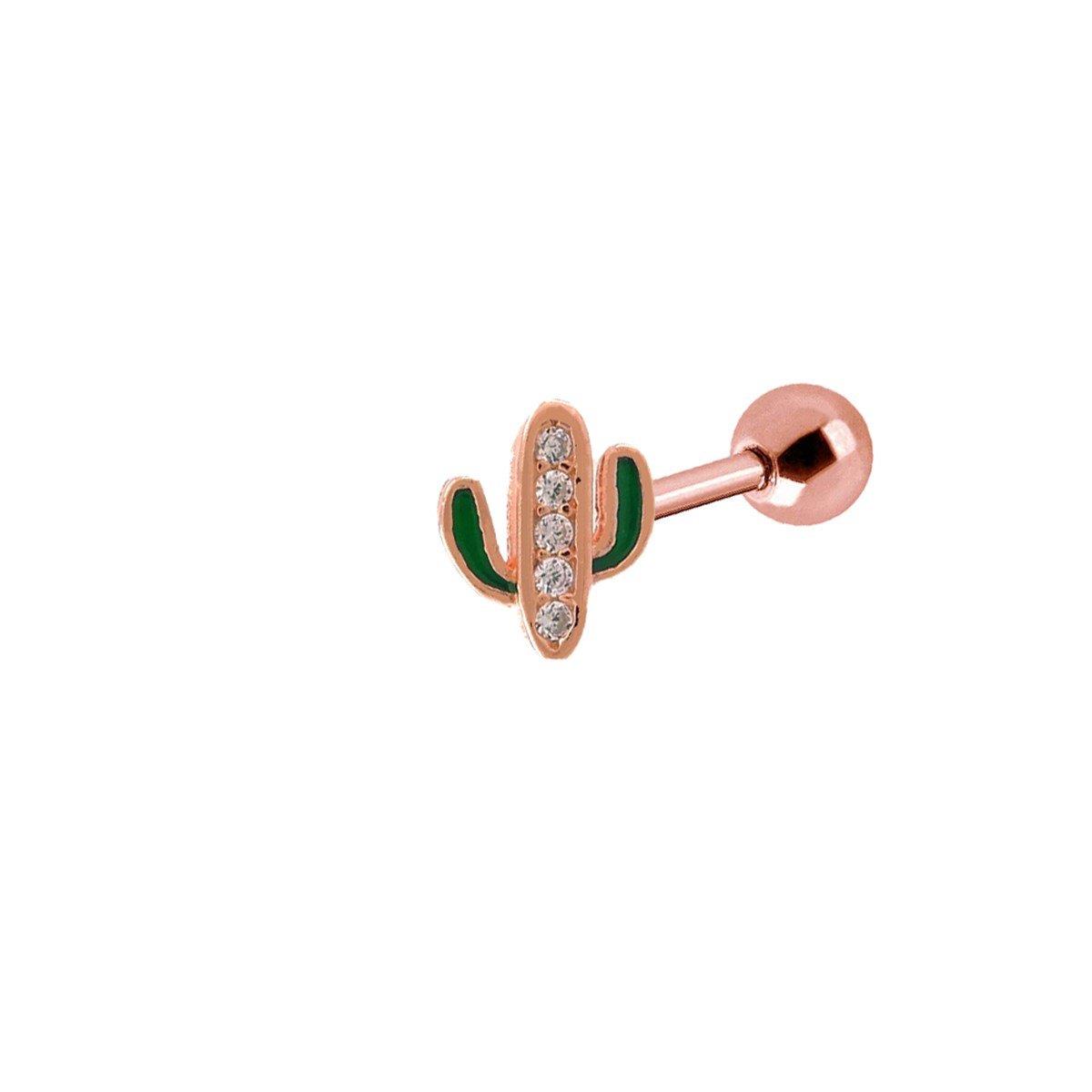 KAKTÜS TRAGUS