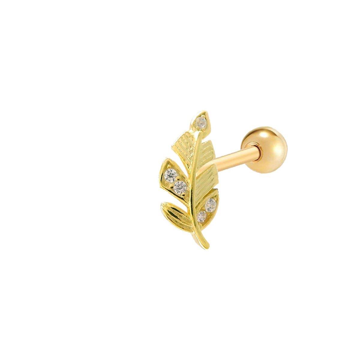 TÜY TRAGUS