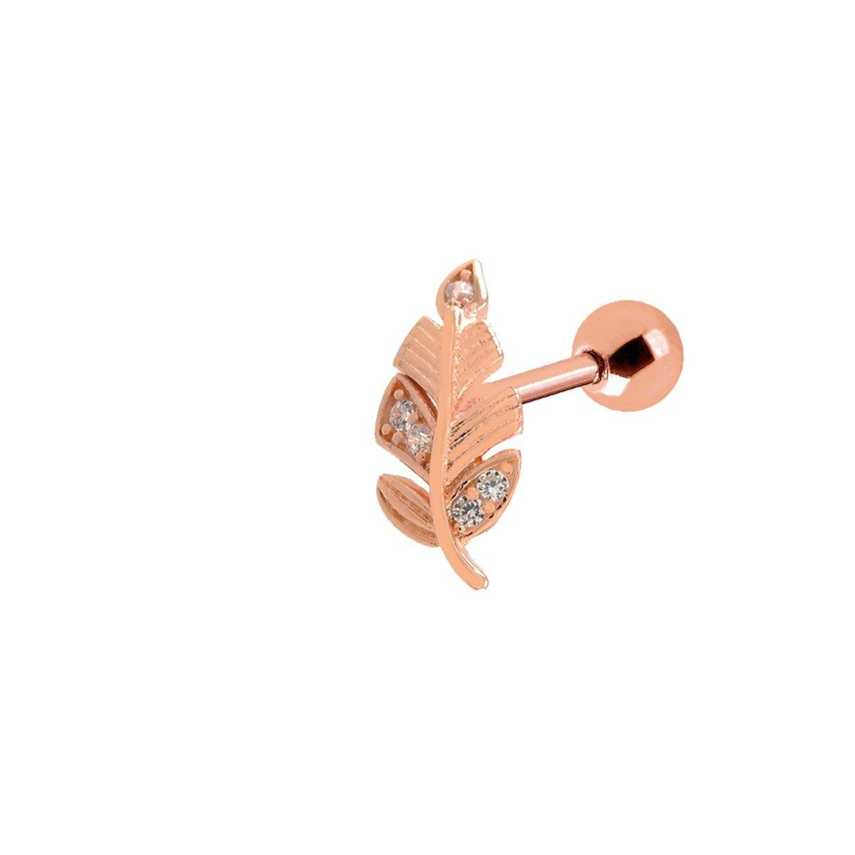 TÜY TRAGUS