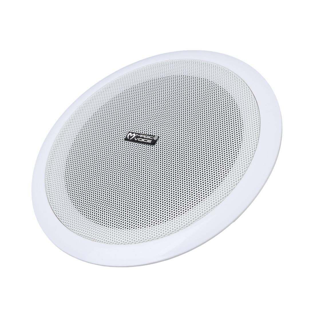 Trafosuz Hoparlör-6724