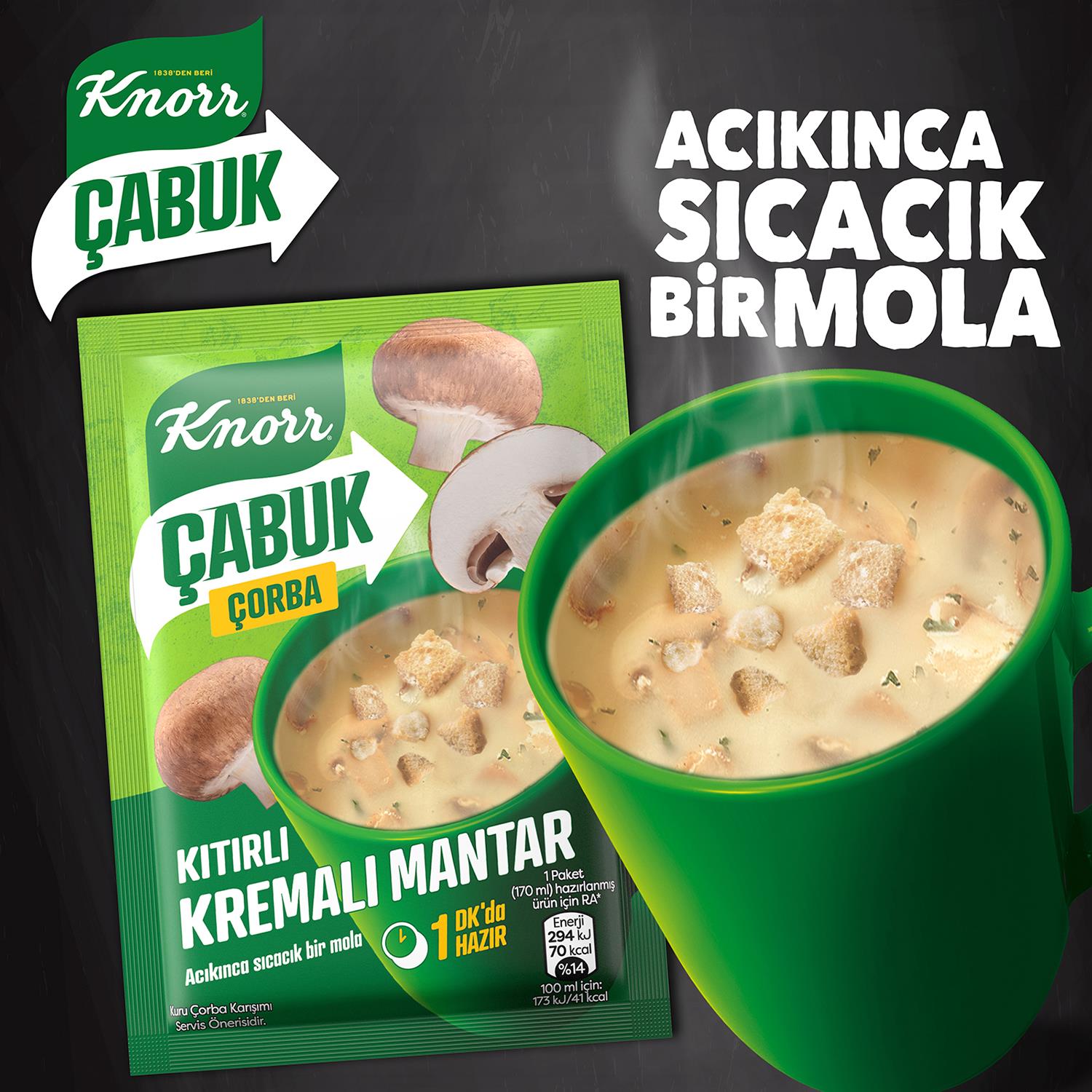 Knorr Kremalı Mantar Çabuk Çorba 19 gr