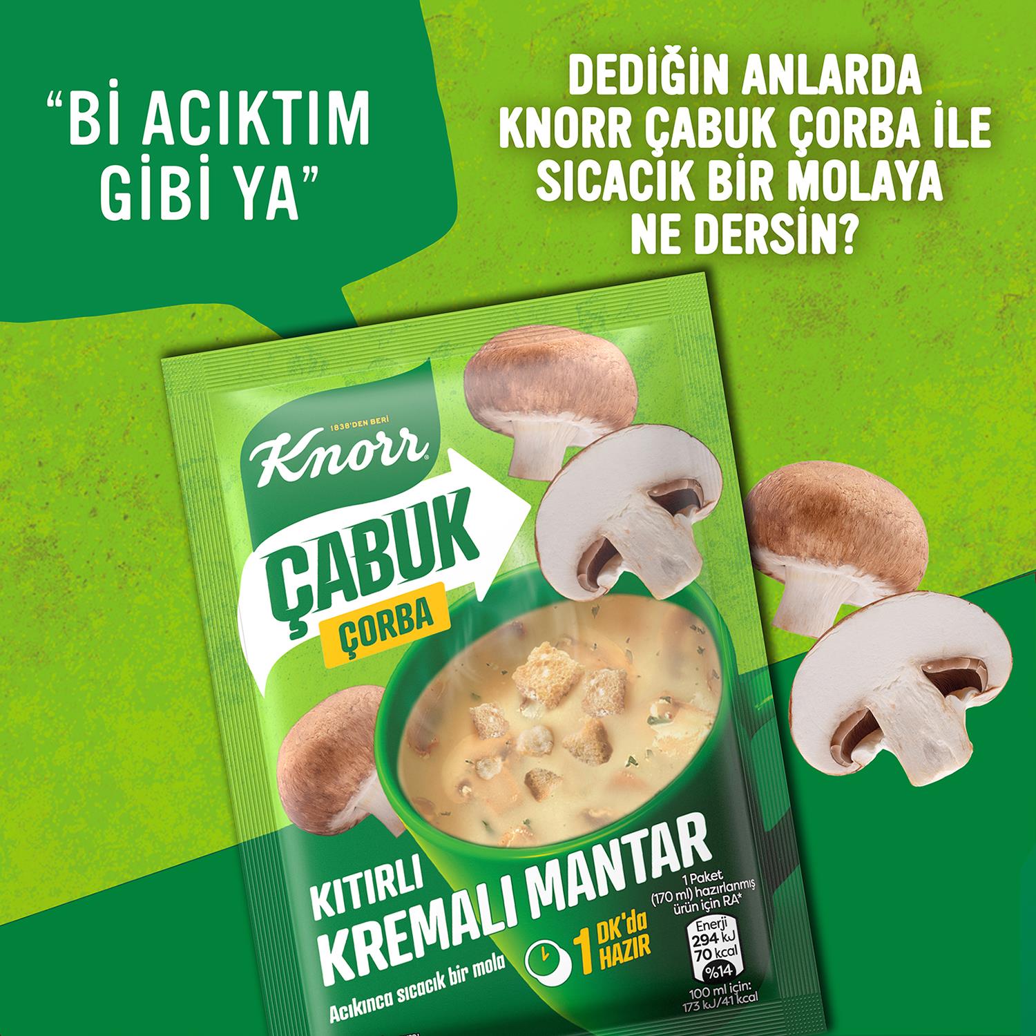 Knorr Kremalı Mantar Çabuk Çorba 19 gr