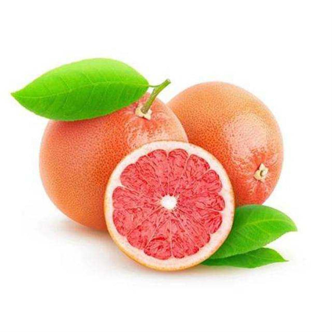 Greyfurt Kg