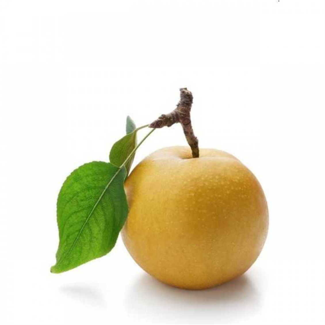  M ARMUT NAKSI KG 