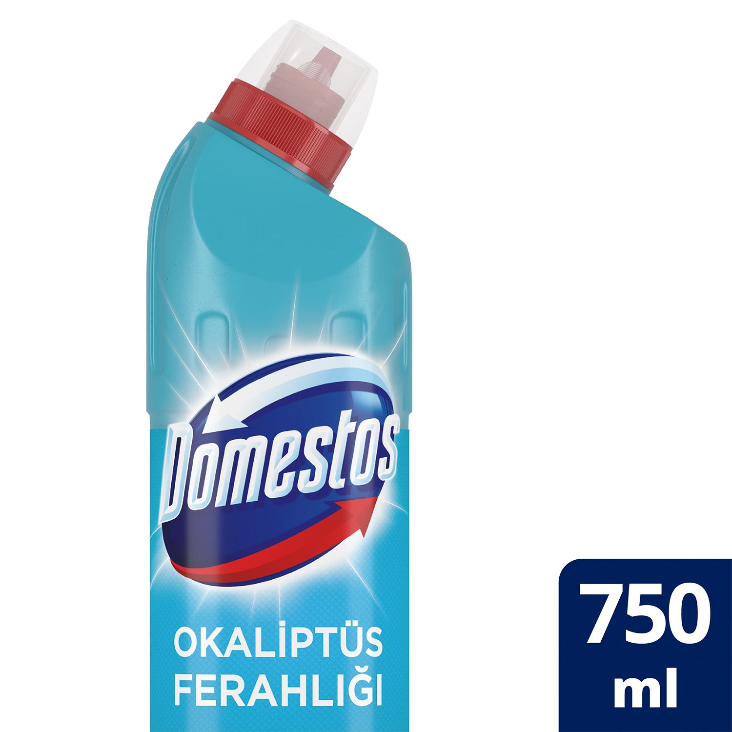 Domestos Okaliptus Ferahlığı Çamaşır Suyu 750 Ml
