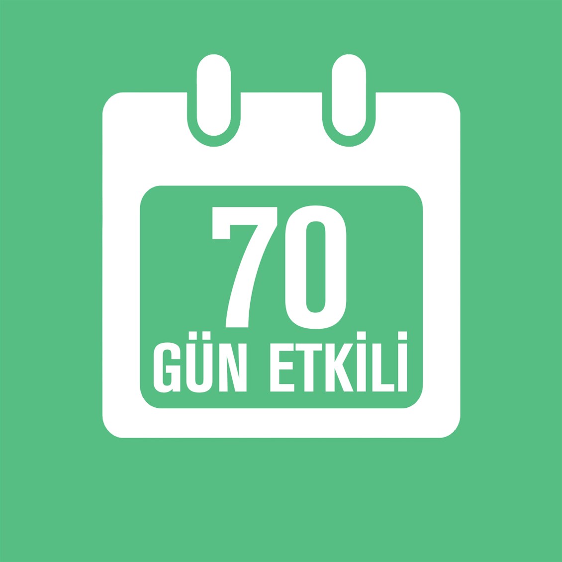 Airwick Freshmatik Kit Bahar Çiçekleri
