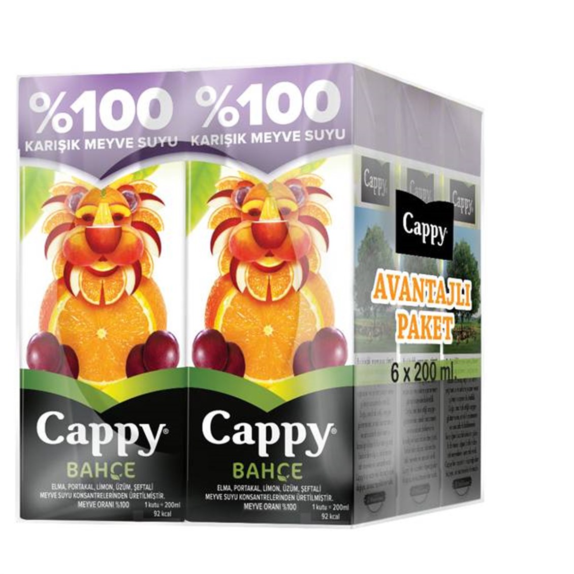 Cappy Karışık Meyve Suyu 6x200 ml