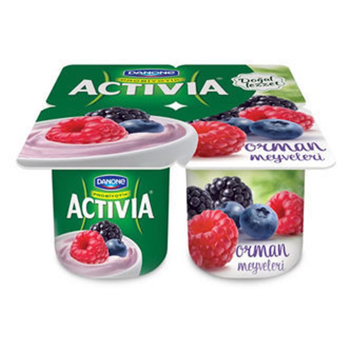 Danone Activia Orman Meyveli 4x100 Gr