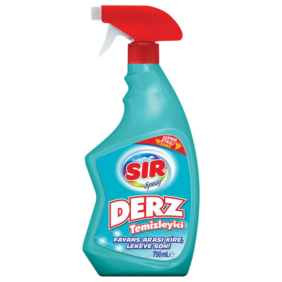 Sır Temizlik Sıvı 750 ml Derz Temizleyici