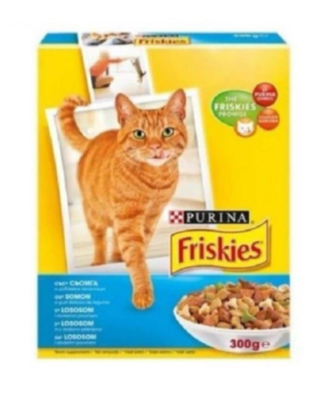 Friskies Somonlu Ve Sebzeli Yetişkin Kedi Maması 300 Gr