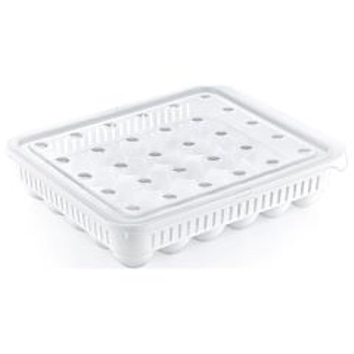 Hobby Life Yumurta Saklama Kabı 30 lu