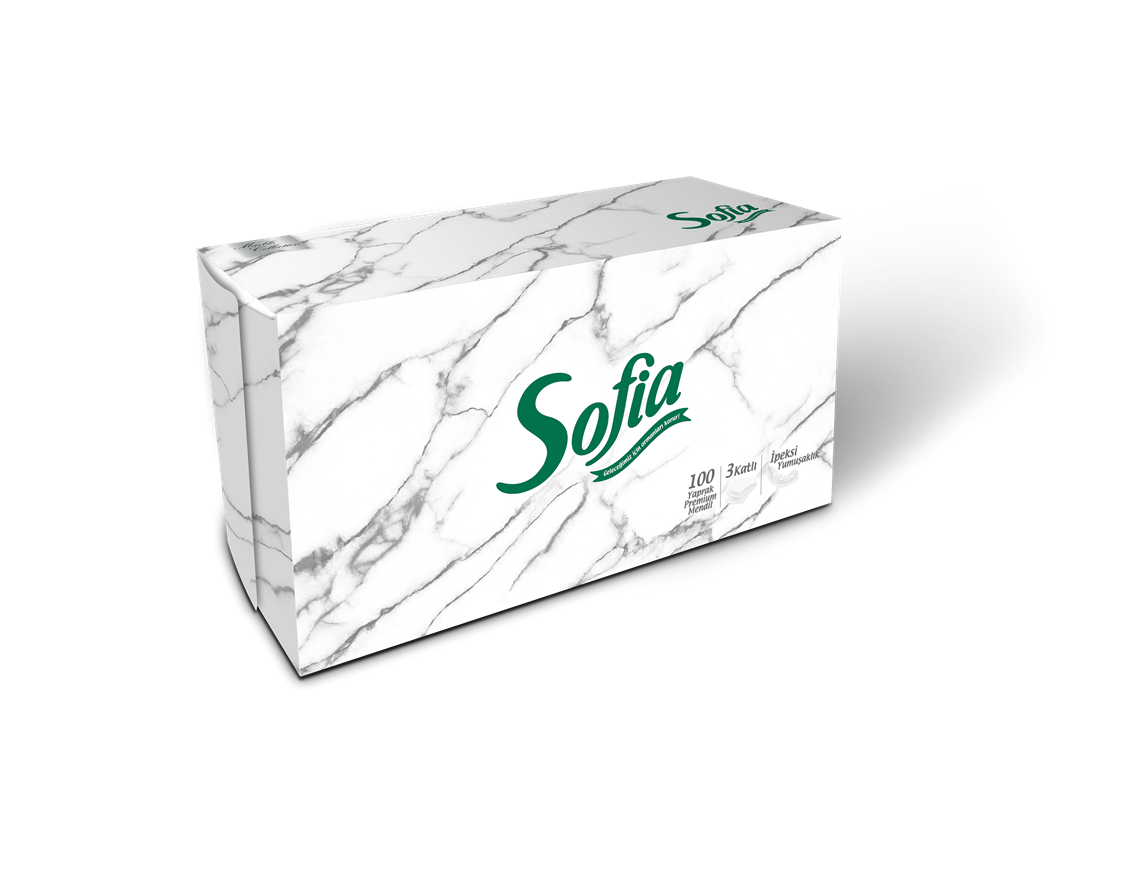 Sofia Kutu Mendil 100'Lü