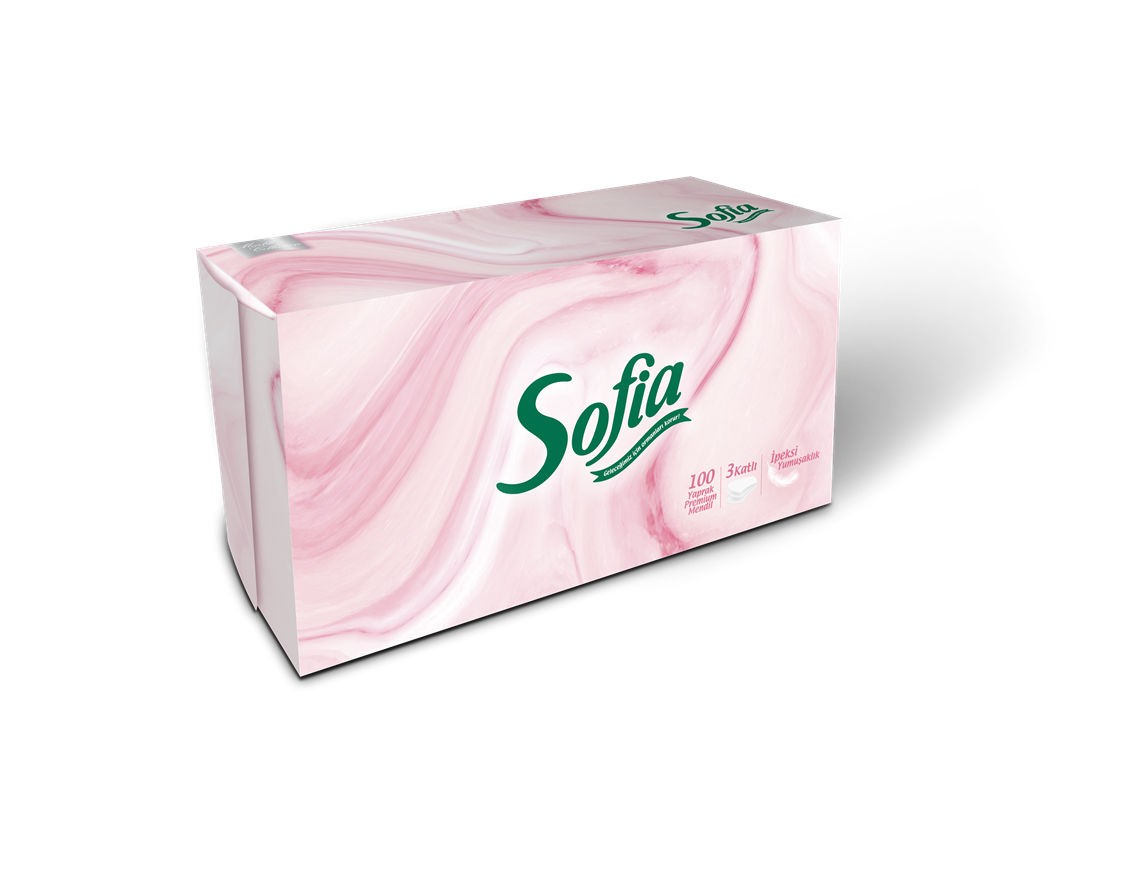 Sofia Kutu Mendil 100'Lü