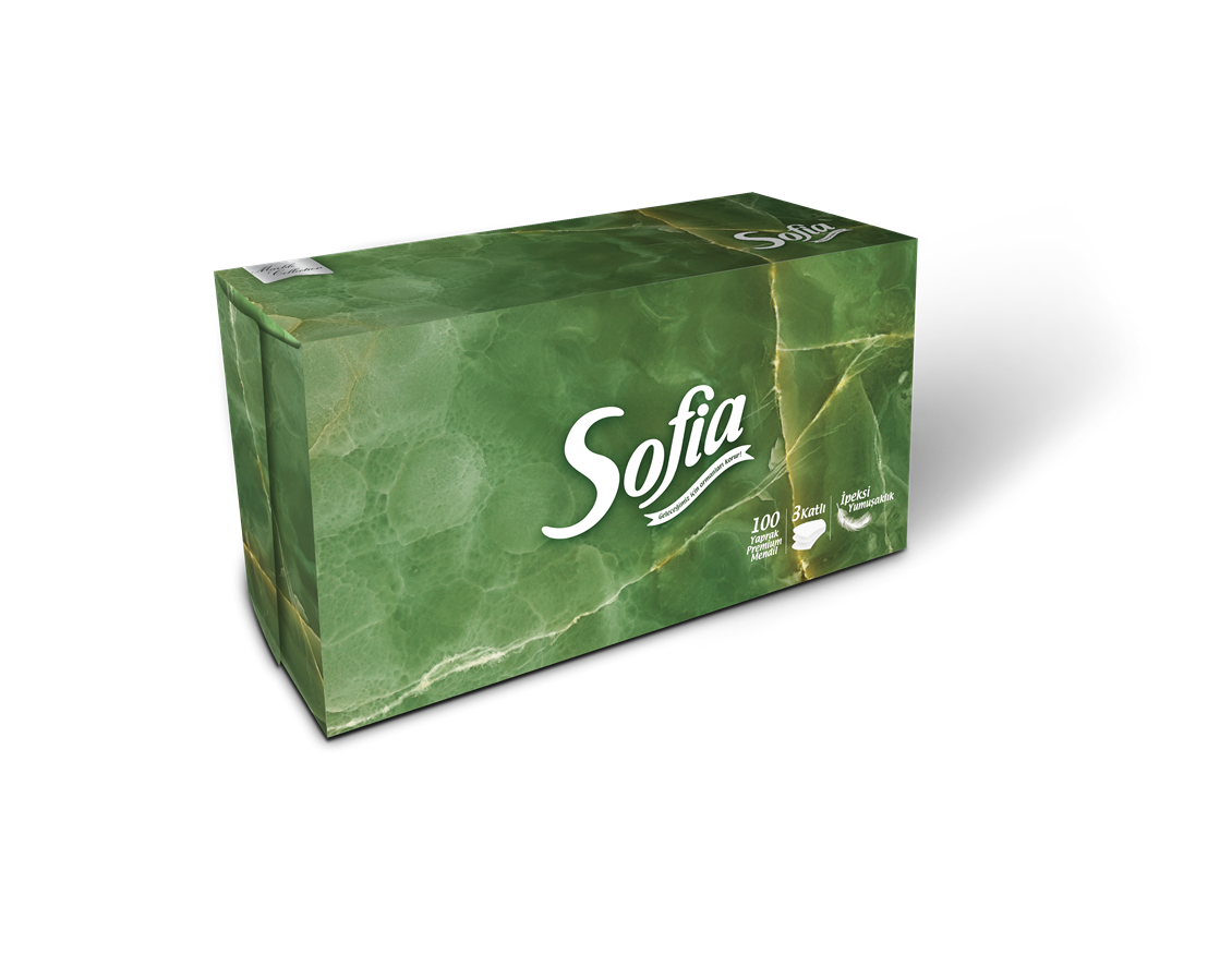 Sofia Kutu Mendil 100'Lü