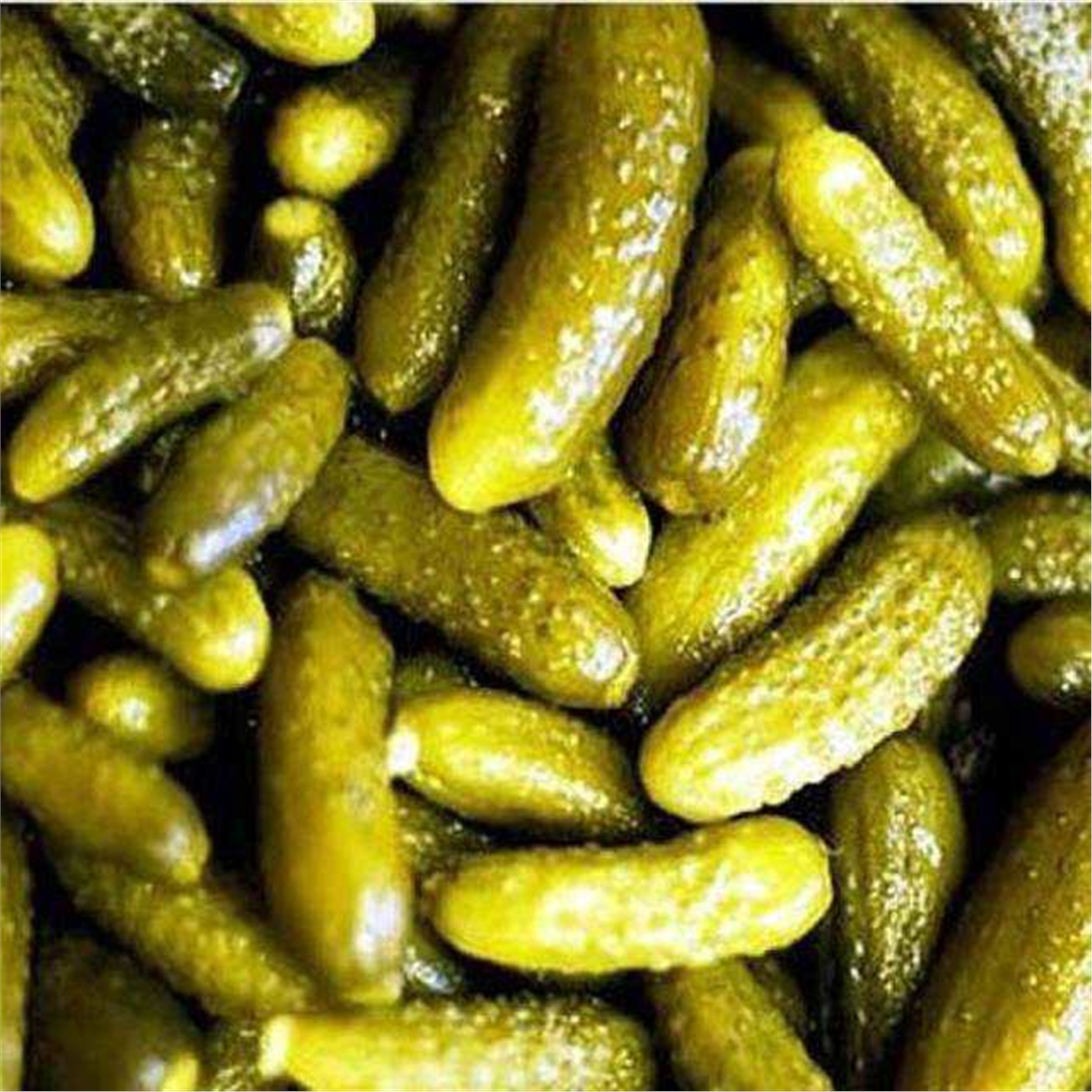 Onur Ece Tursu 1400 Gr Kornıson