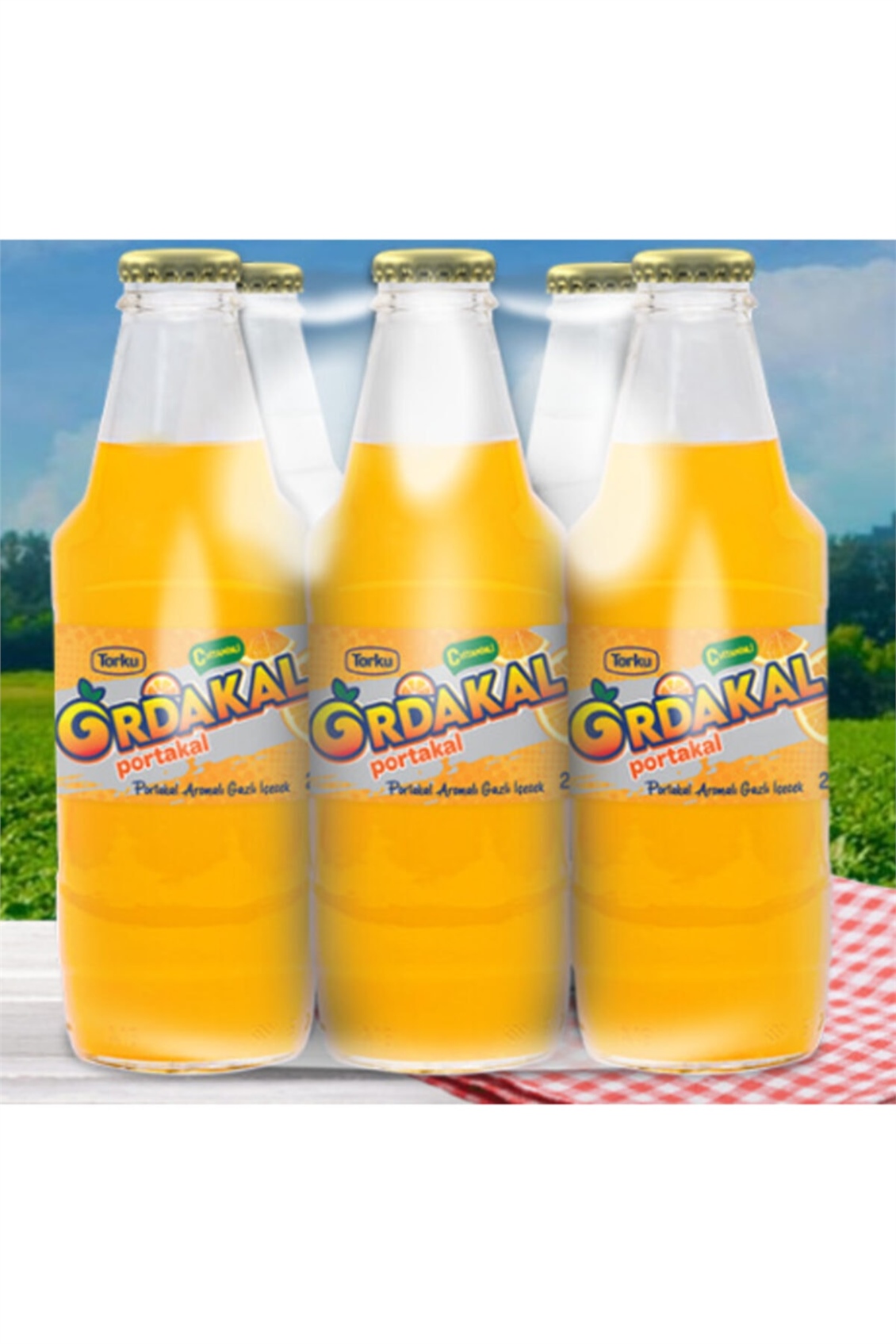  TORKU ORDAKAL 6*250ML CAM 
