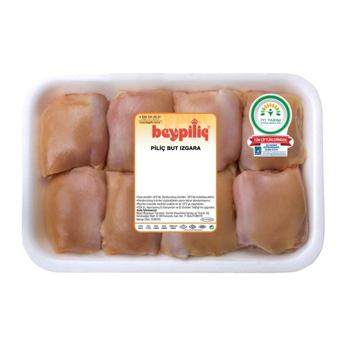  BEYPILIC PILIC BUT IZGARA 
