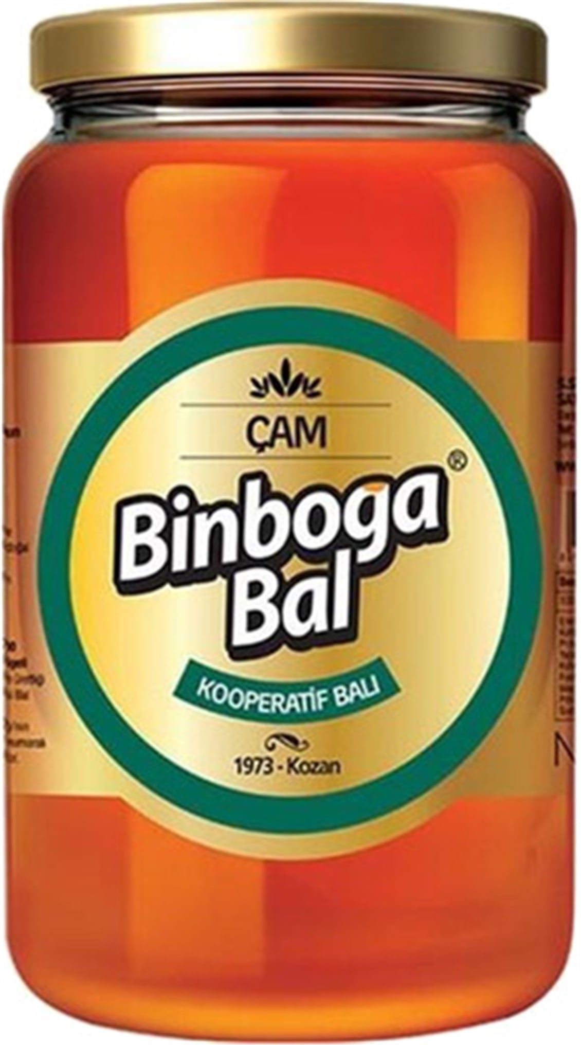 Binboğa Çam Balı 850 Gr
