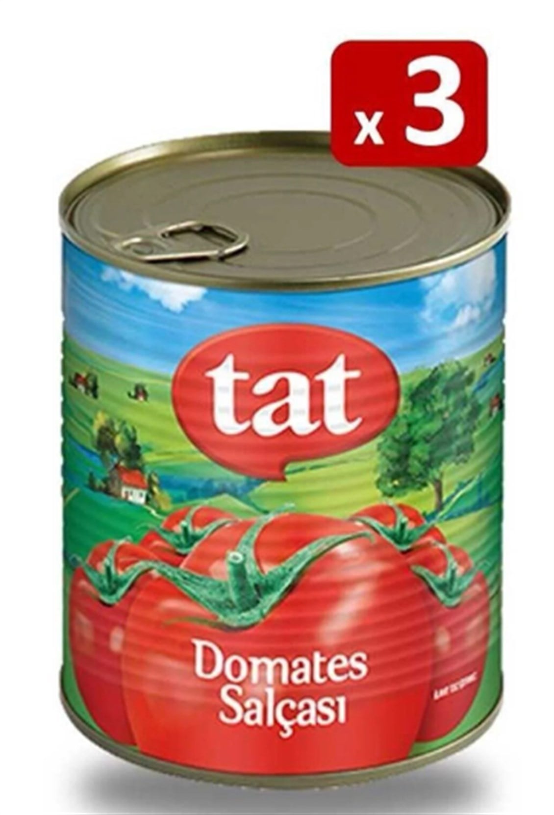 ETC.TAT SALÇA 830GR X 3 ADET