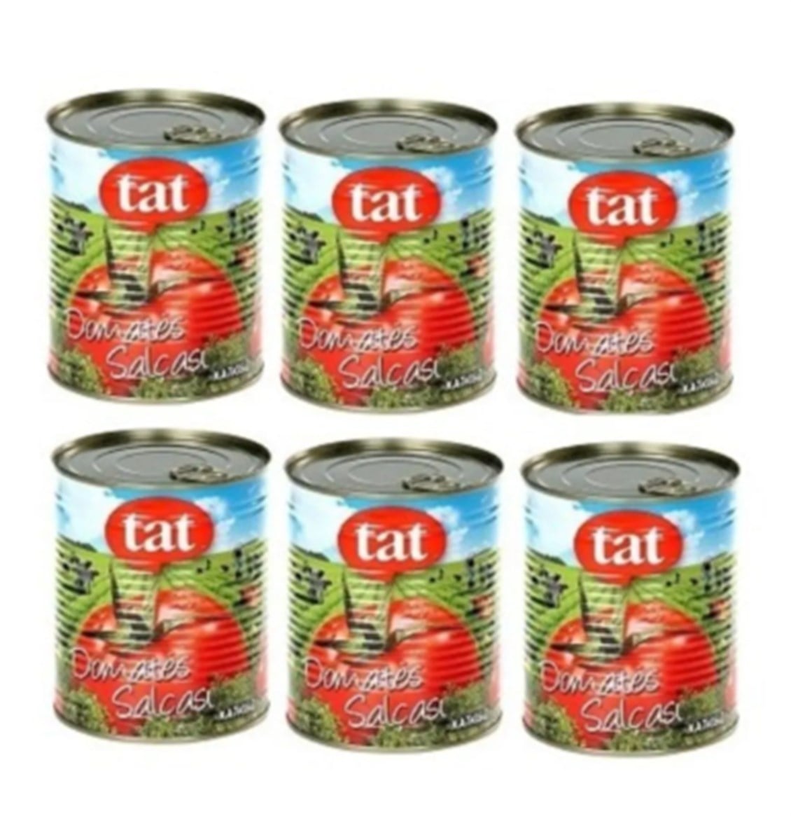 ETC.TATSALÇA830GRX6ADET