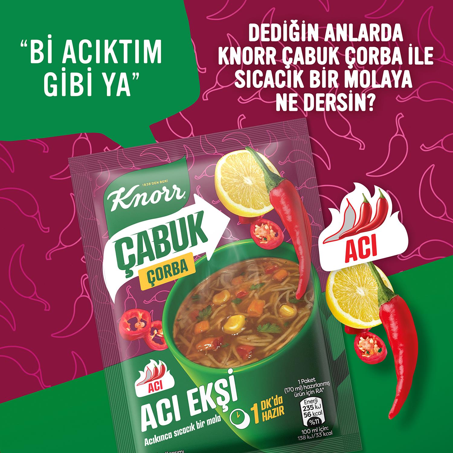 Knorr Çabuk Çorba Acı Ekşi 19 gr