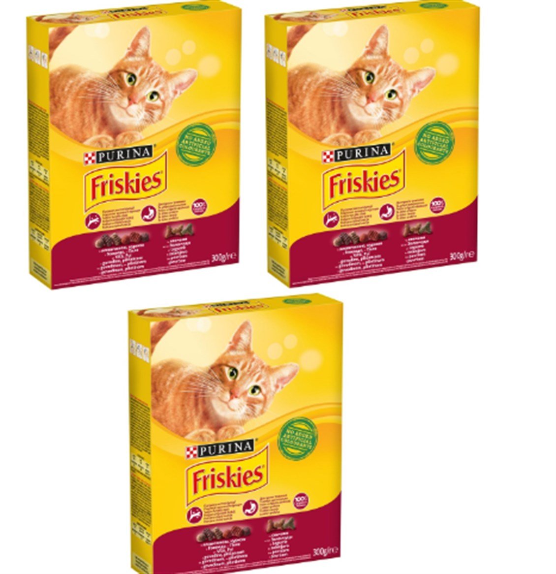 ETCFRISKIESKEDIMAMASIETLI300GRX3