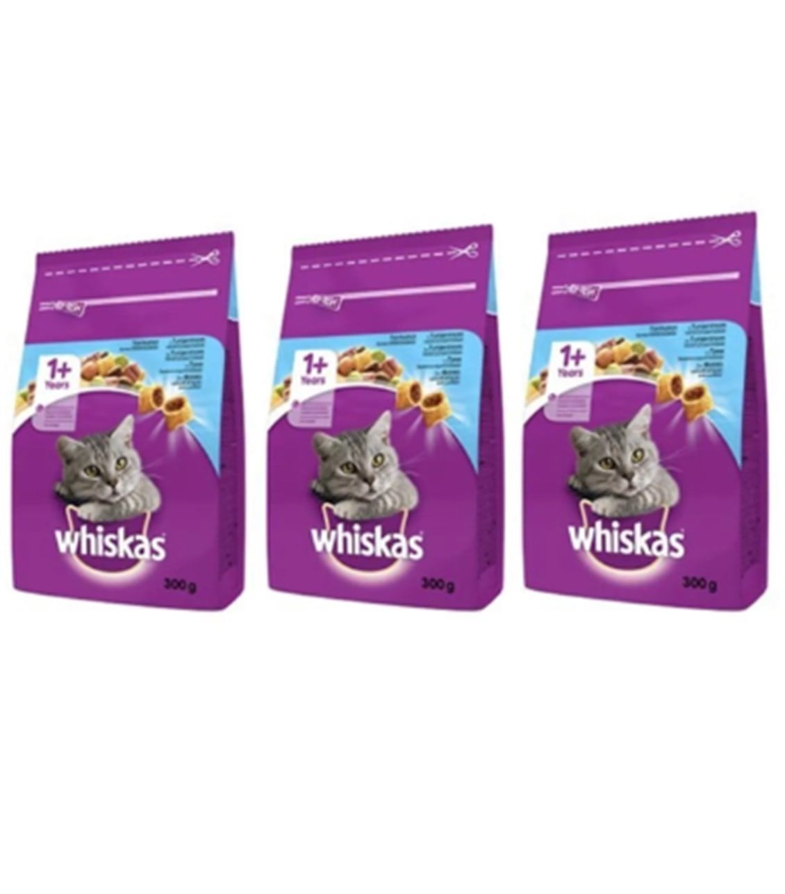 ETCWHISKASTON/SEBZEERİŞKİN300GRX3