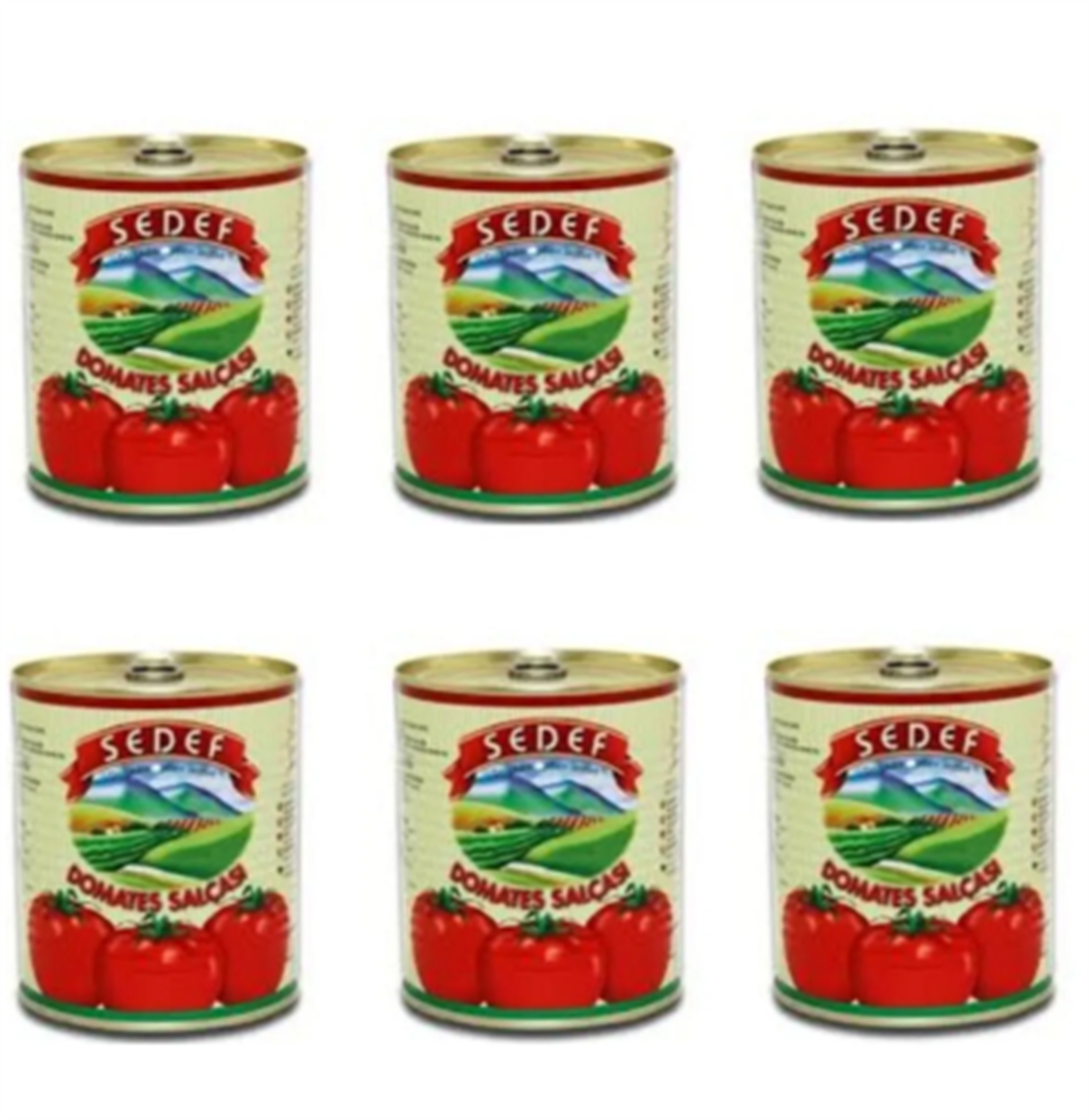 ETC.SEDEF DOMATES SALCASI 800 GR X 6 ADET