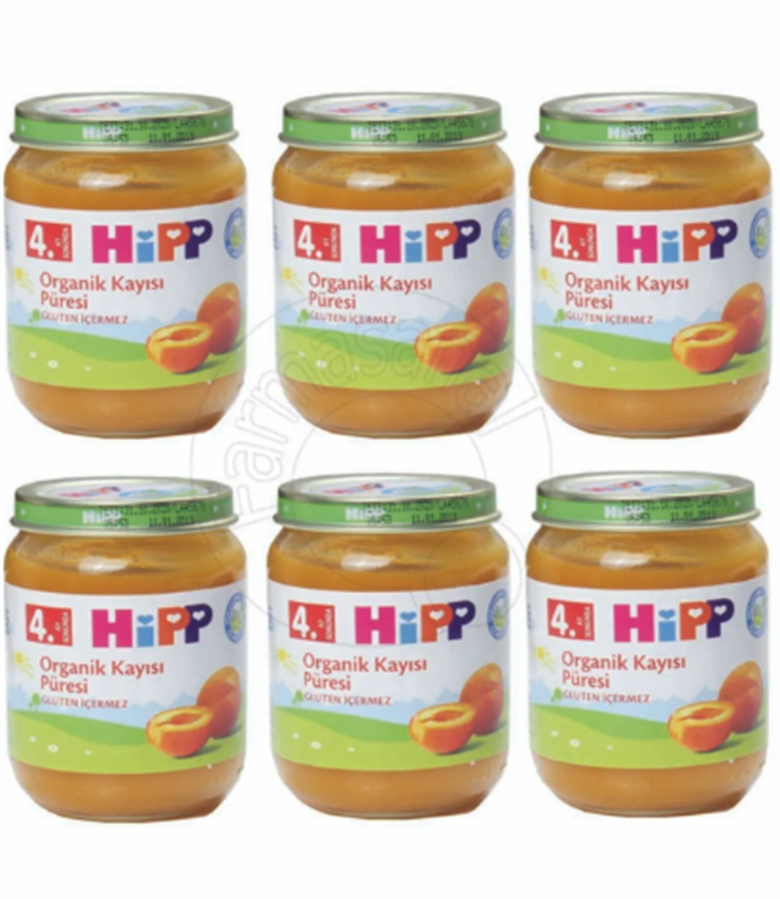 ETC.HIPPORGANIKKAYISIPURESI125GRX6