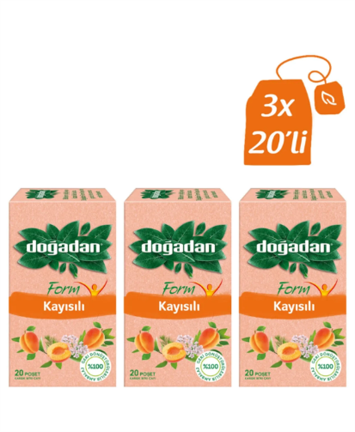 ETC.DOGADANFORMKAYISILI36GRX3ADET