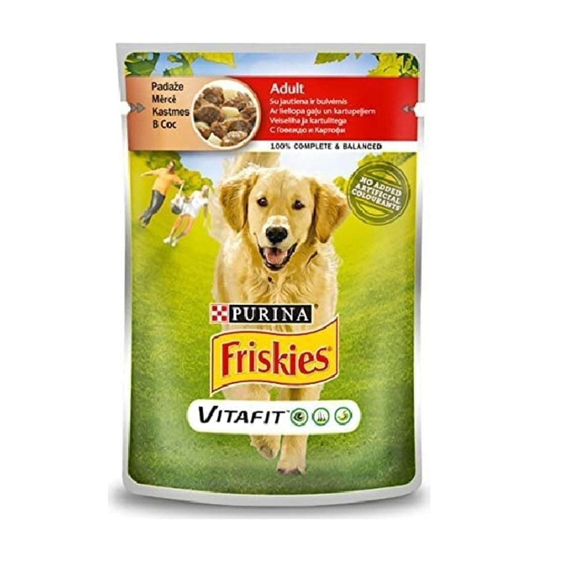 Friskies Kedi Maması Yetişkin 100 gr