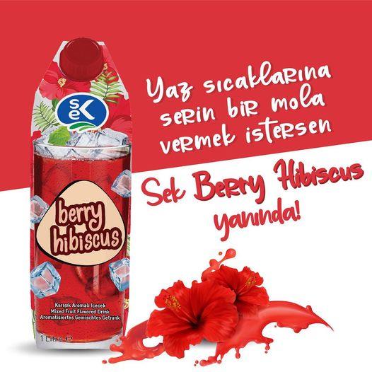 Sek Berry Hibiscus 1 lt