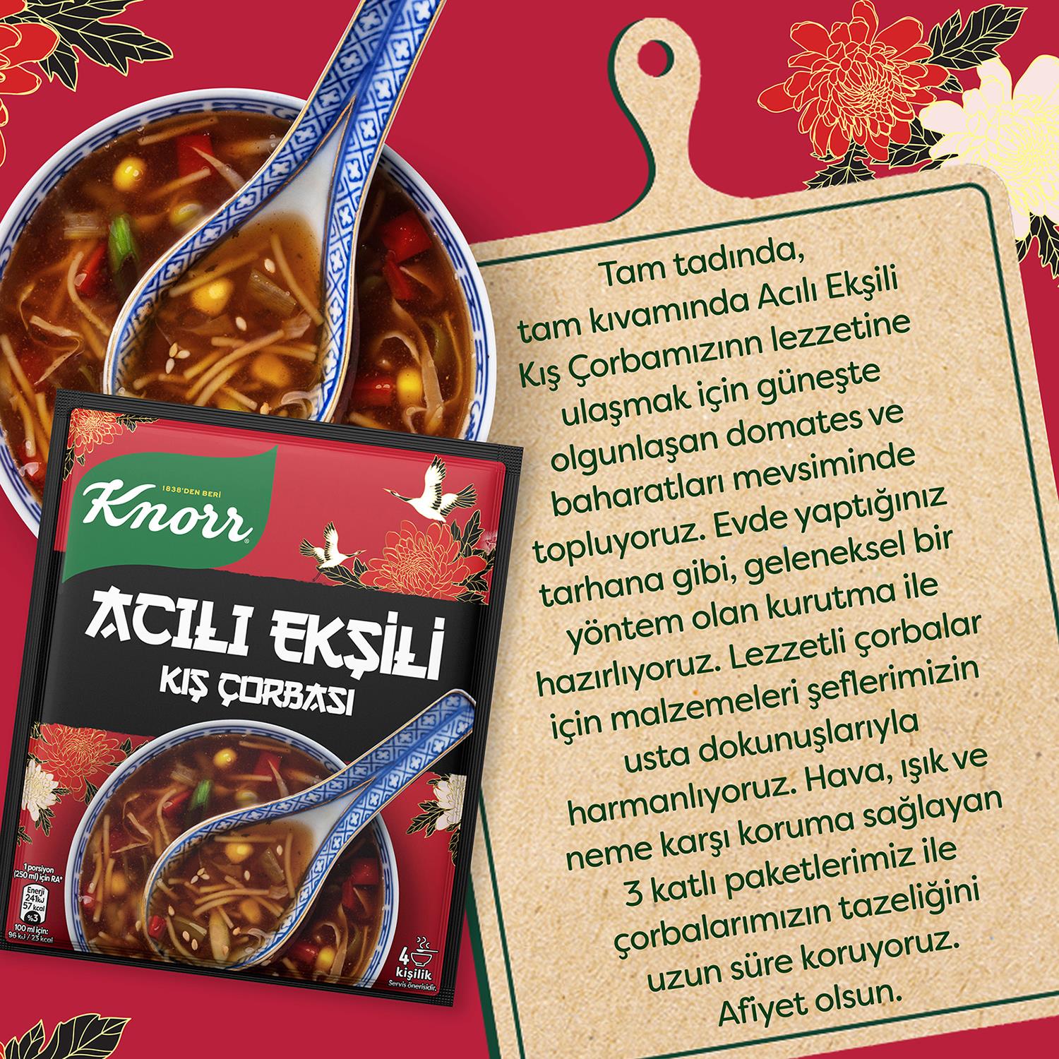 Knorr Hazır Hazır Acılı Ekşili 75 gr