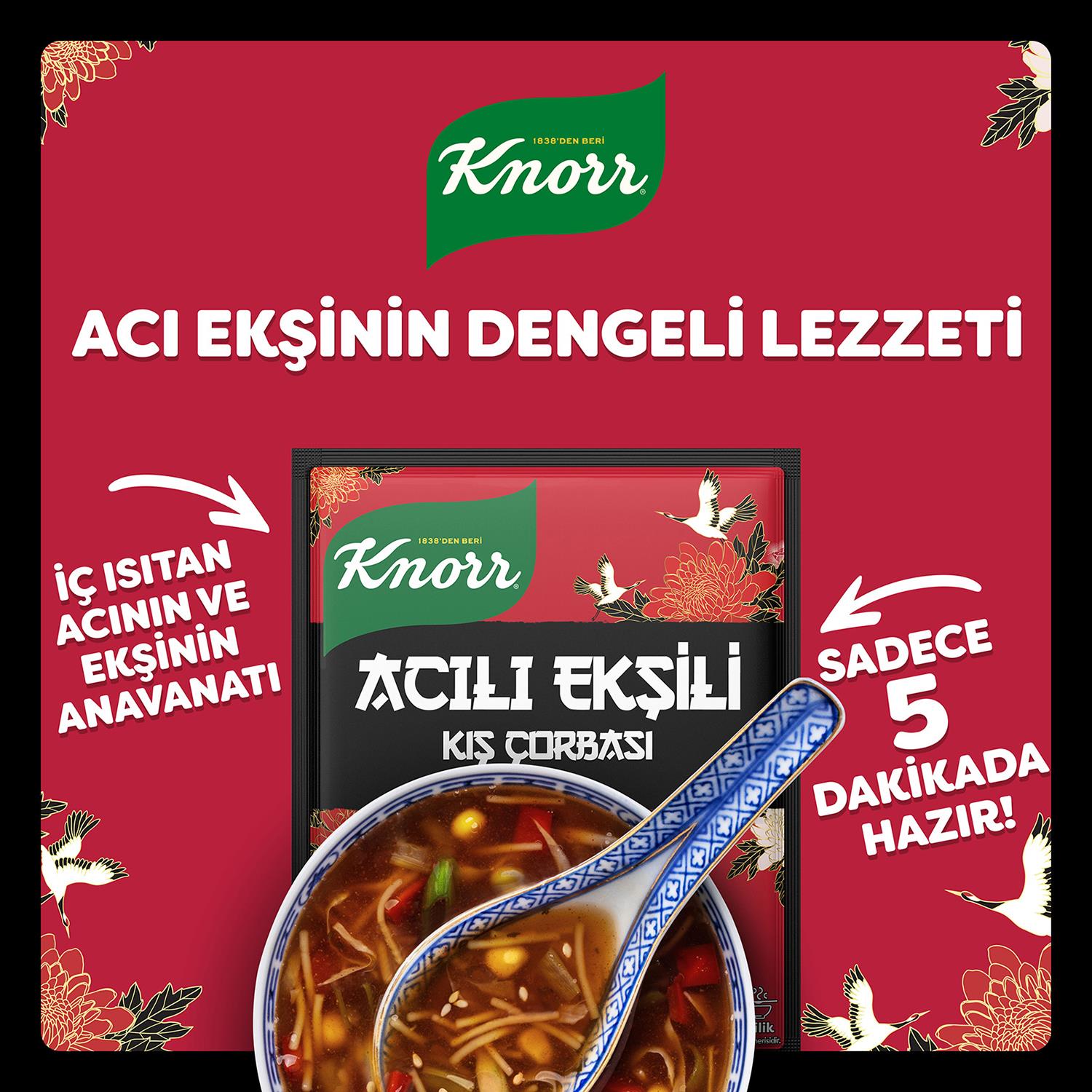 Knorr Hazır Hazır Acılı Ekşili 75 gr