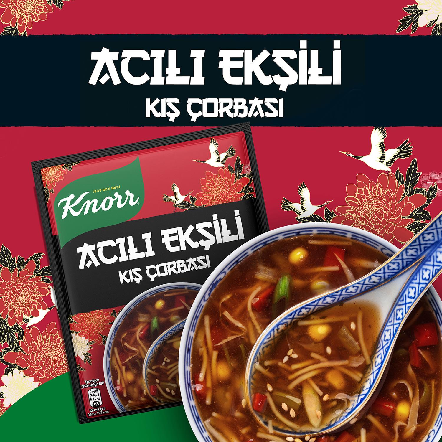 Knorr Hazır Hazır Acılı Ekşili 75 gr