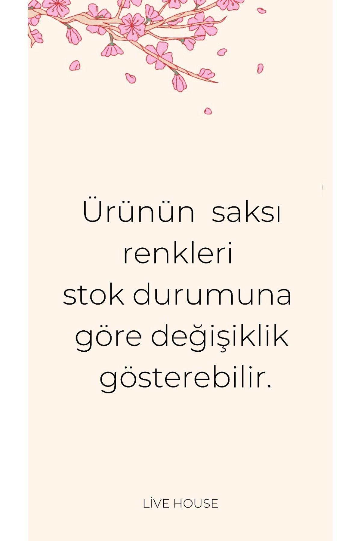 dekoratif-saksida-lavanta-9b-2d2.jpg