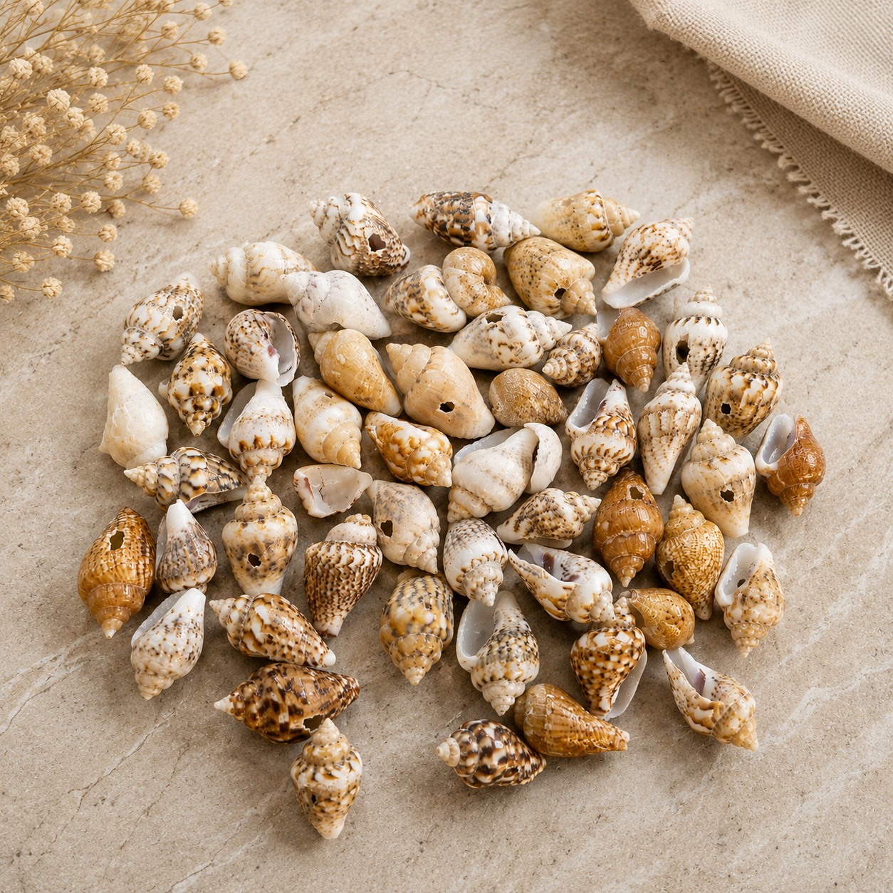 Doğal Karışık Midye Kabuğu – 8 mm / 10 mm / 12 mm – 40 gr