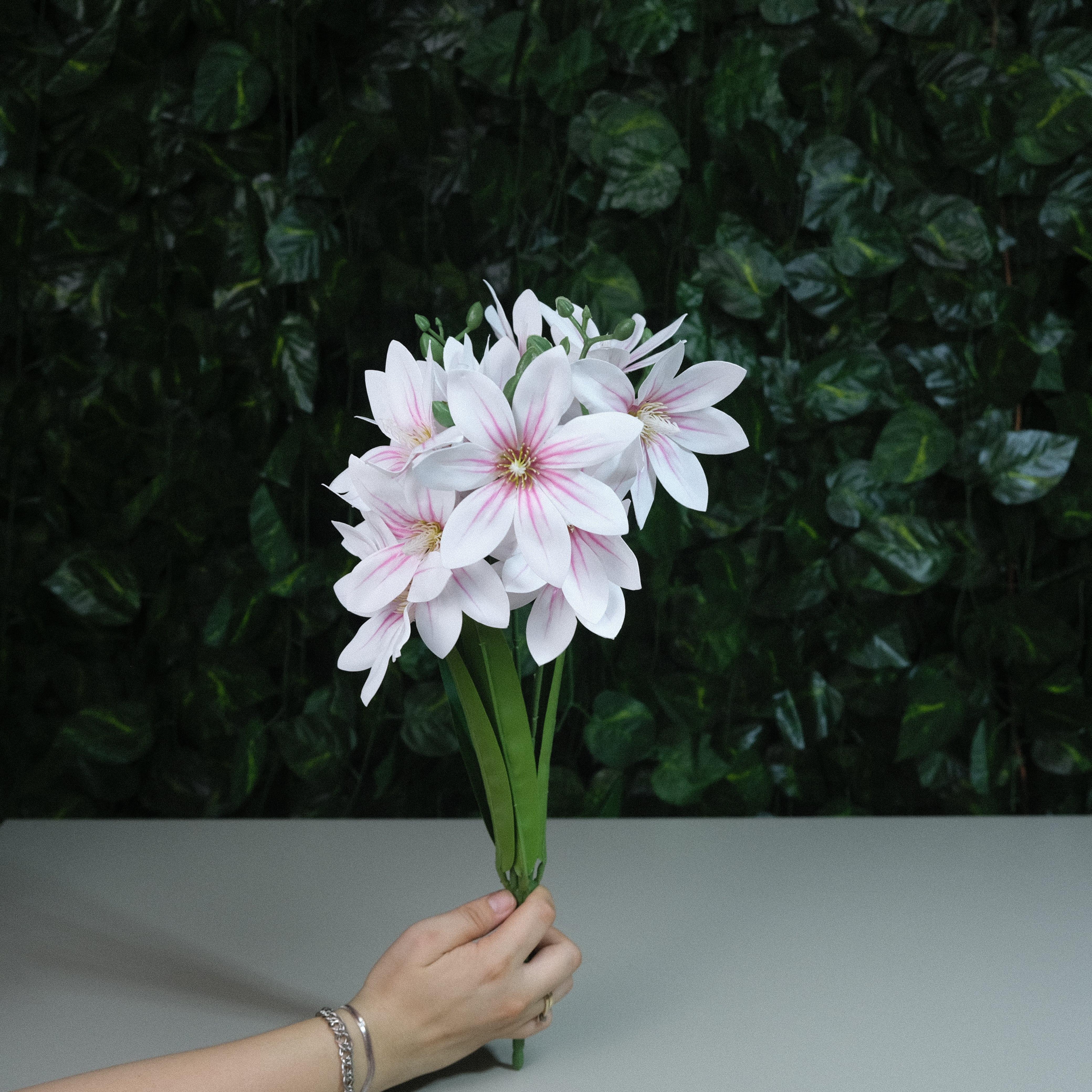 Gerçek Dokulu Yıldız Manolya 5 Dal 47 cm Pembe Damarlı Islak Manolya Demeti