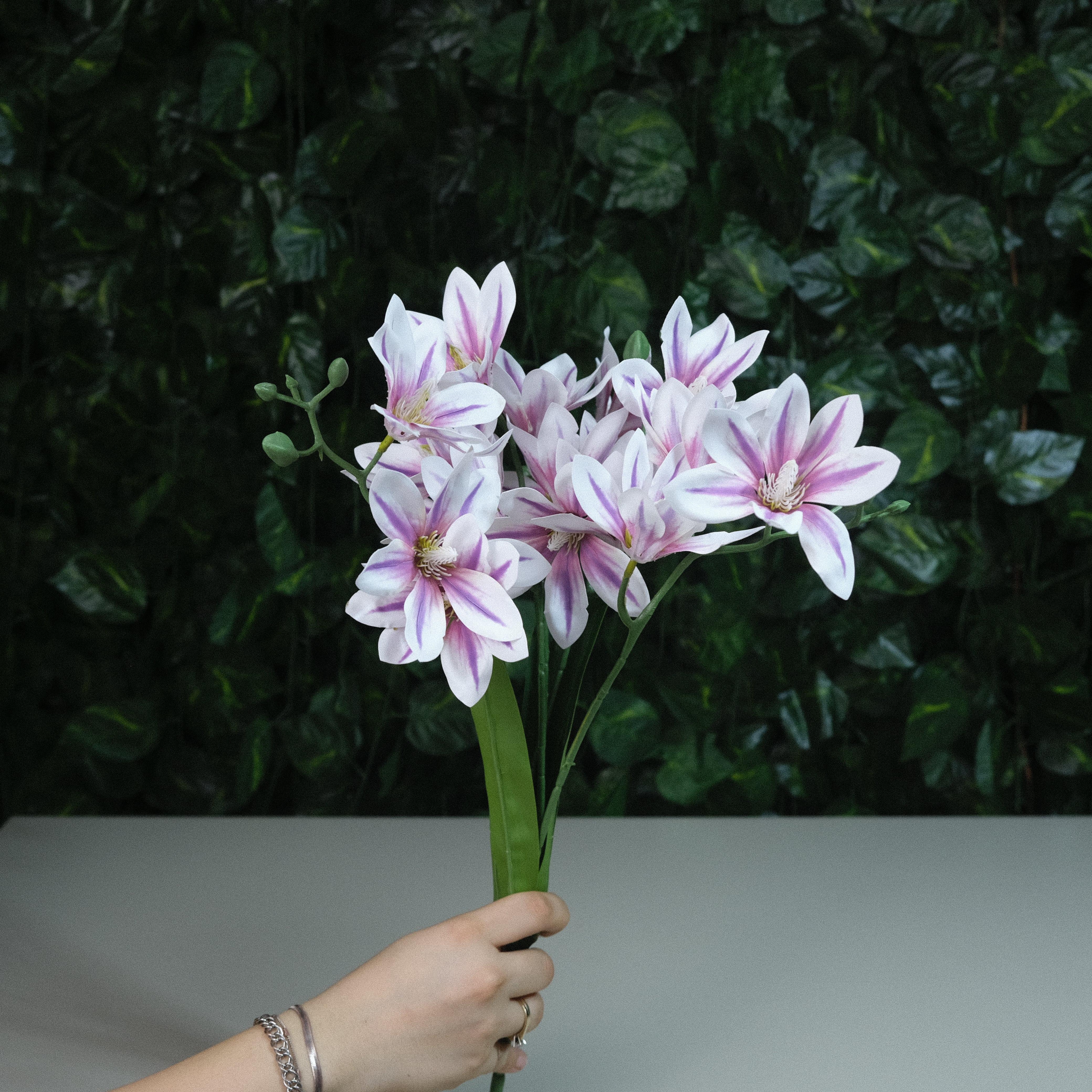 Gerçek Dokulu Yıldız Manolya 5 Dal 47 cm Lila Damarlı Islak Manolya Demeti