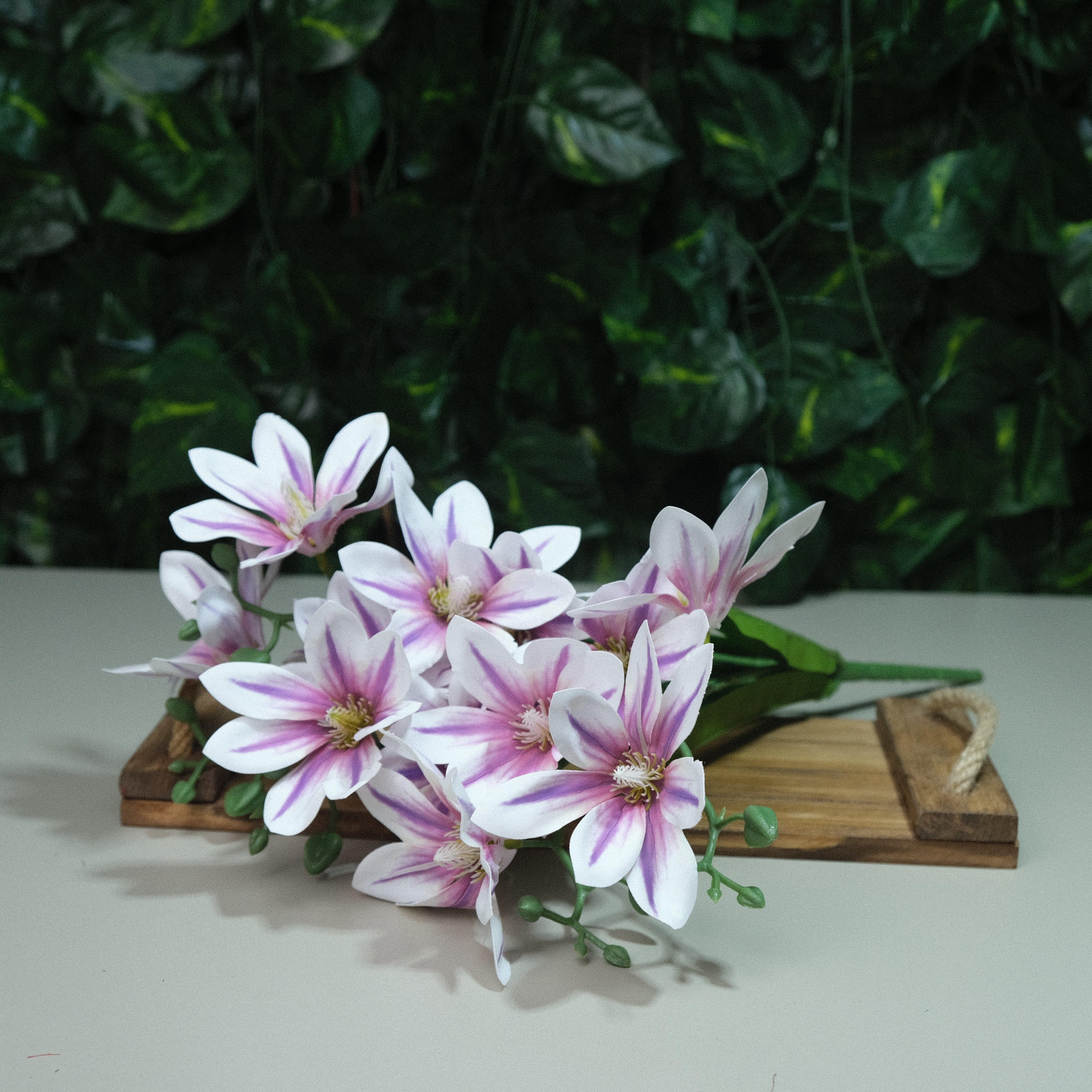 Gerçek Dokulu Yıldız Manolya 5 Dal 47 cm Lila Damarlı Islak Manolya Demeti