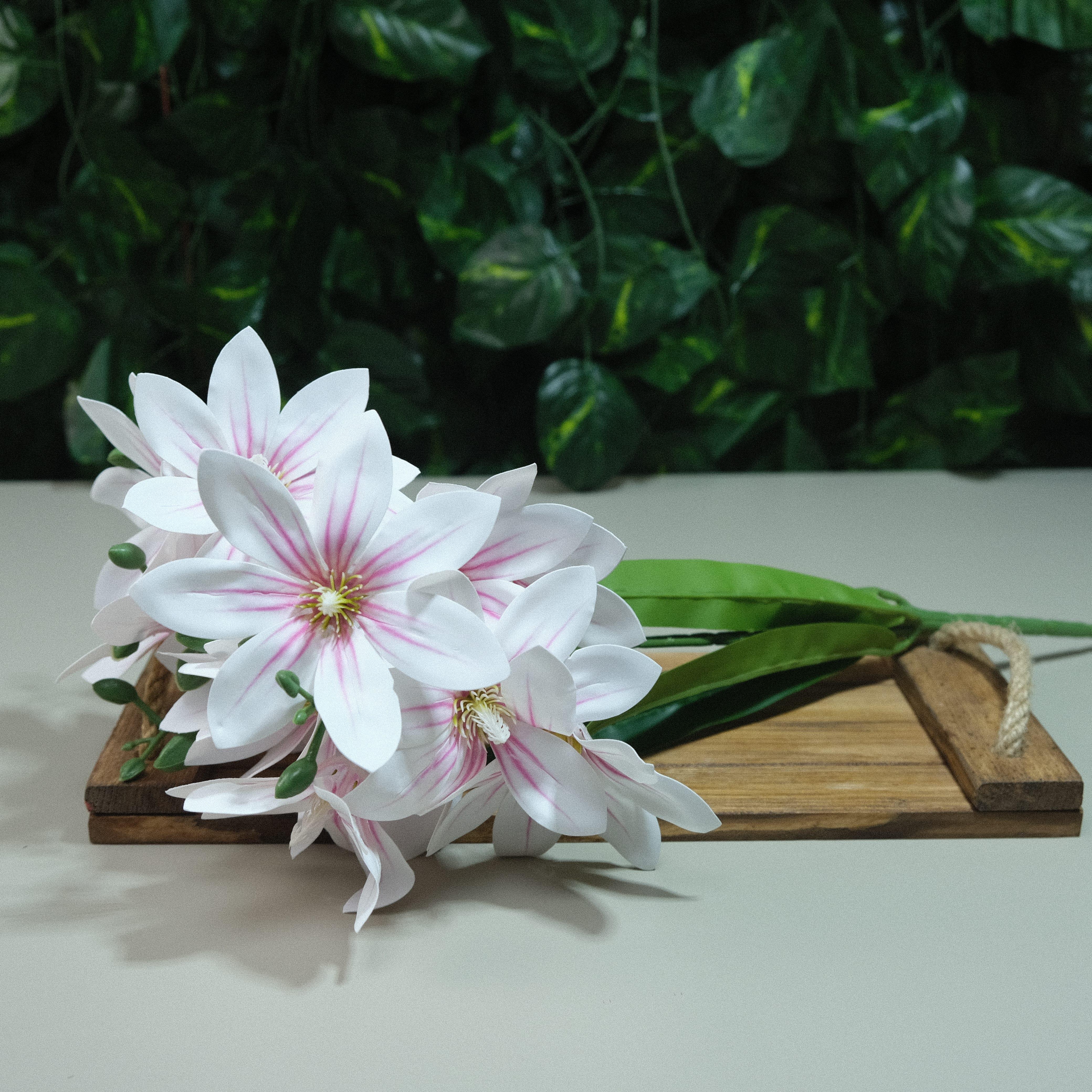 Gerçek Dokulu Yıldız Manolya 5 Dal 47 cm Pembe Damarlı Islak Manolya Demeti