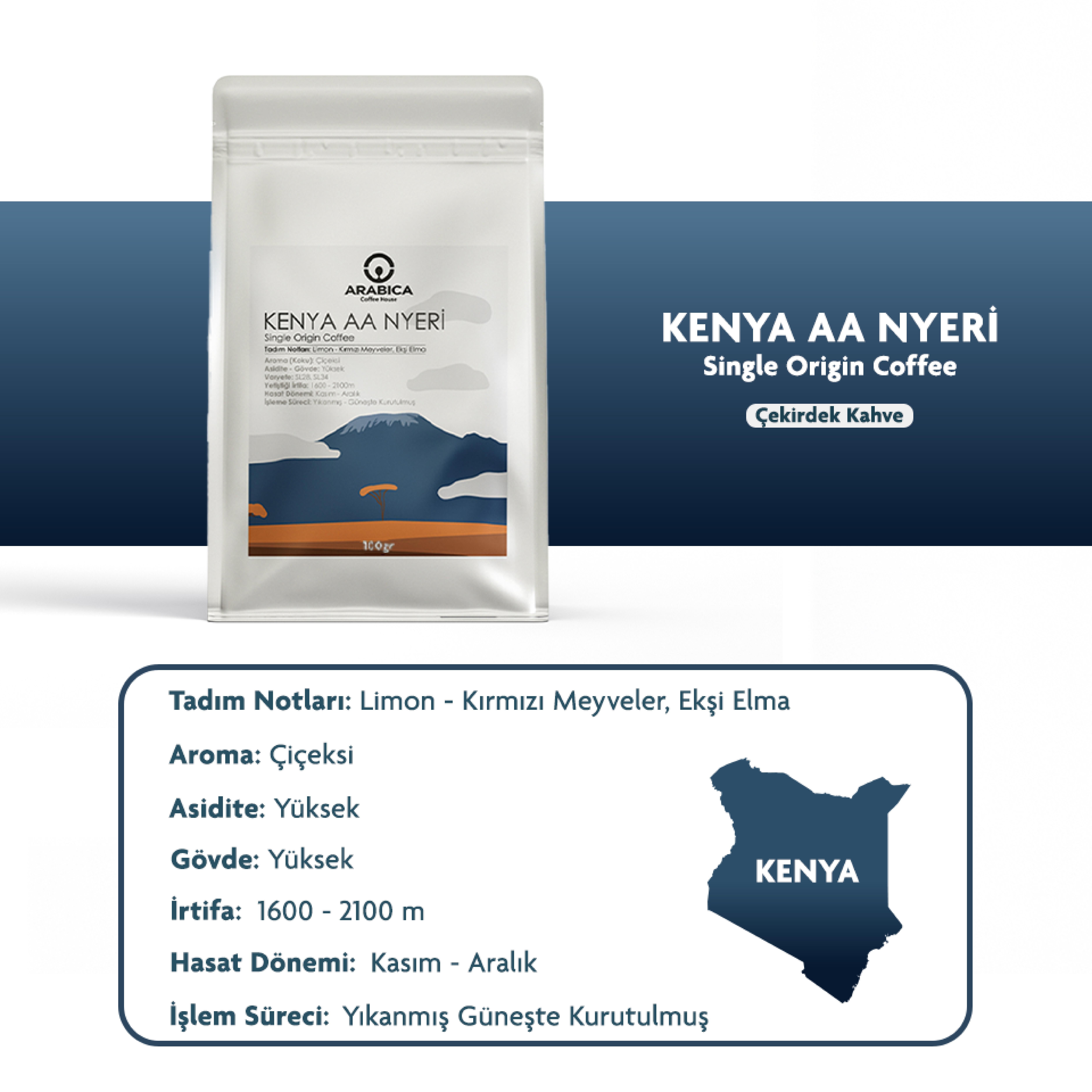 Kenya AA Natural Kahve 100g Çekirdek Kahve Taze Kavrulmuş