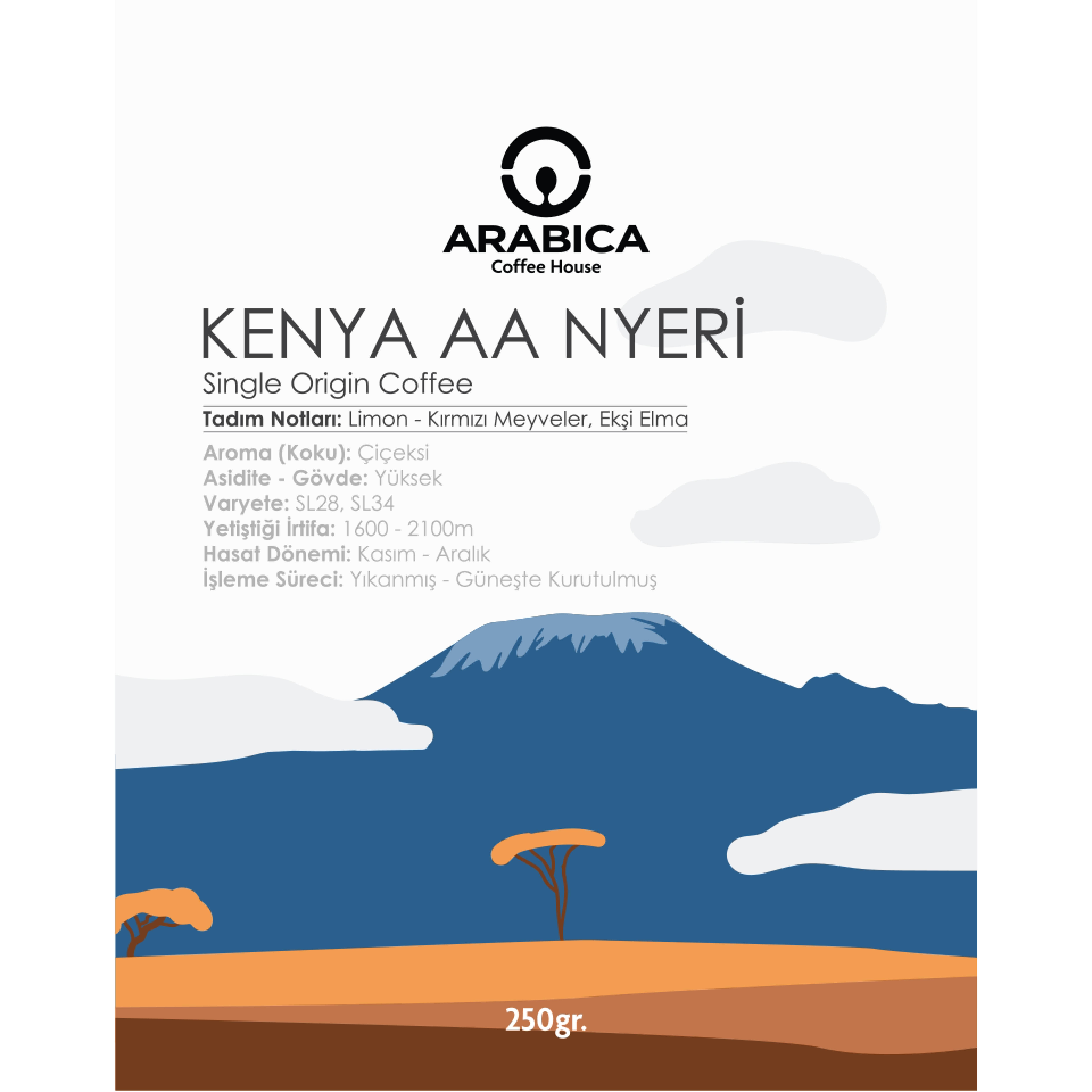 Kenya AA Natural Kahve 250g Çekirdek Kahve Taze Kavrulmuş