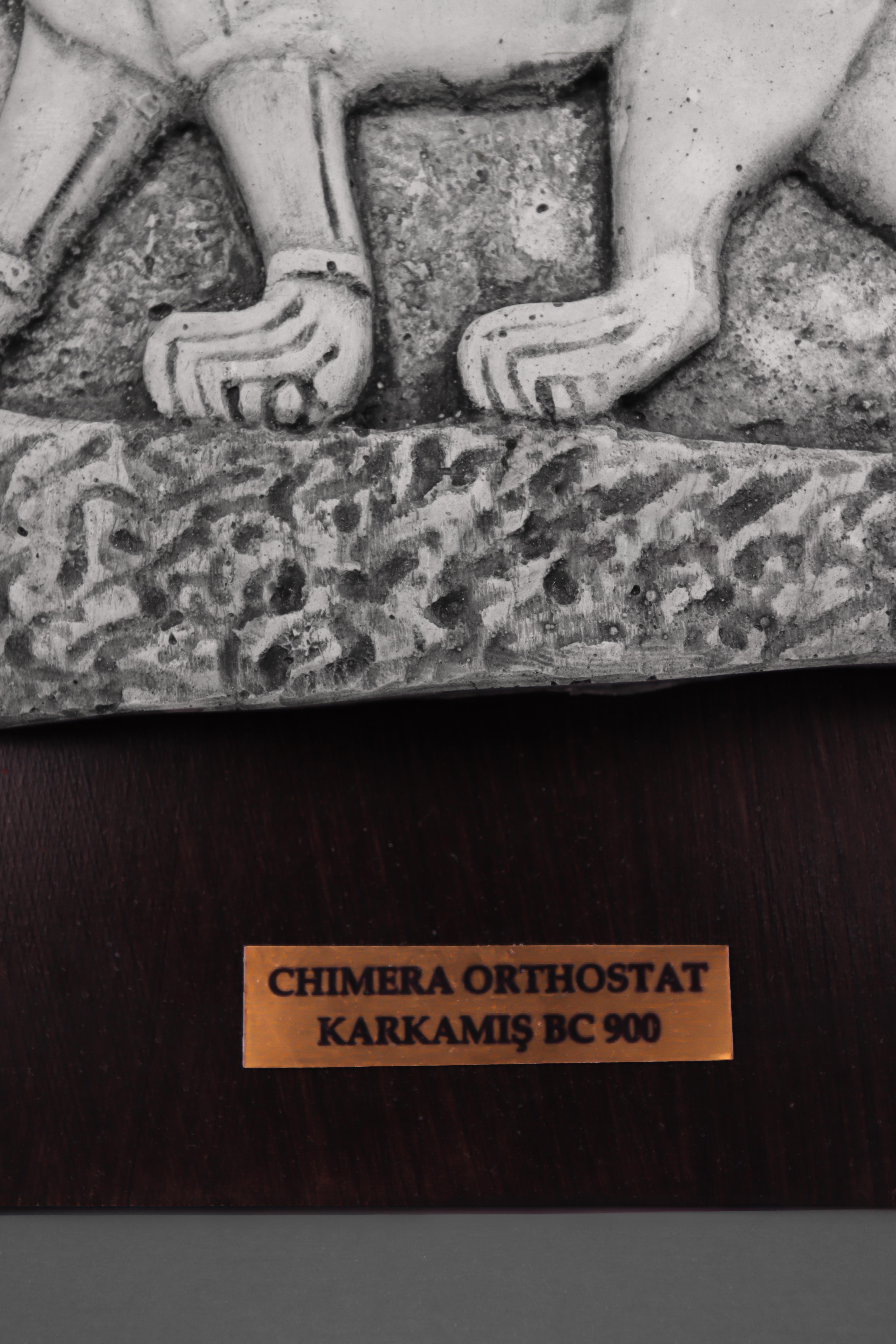 Karkamış Khimera Ortostat Replikası