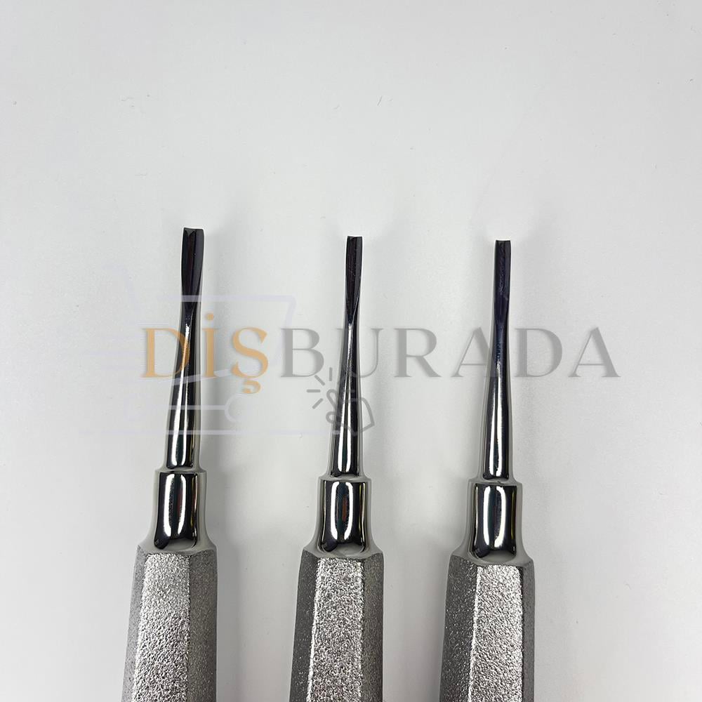 Bein Elevatör - 2Mm