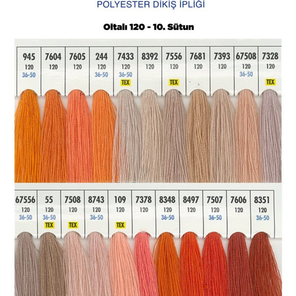 OLTALI 120 10.SÜTUN 